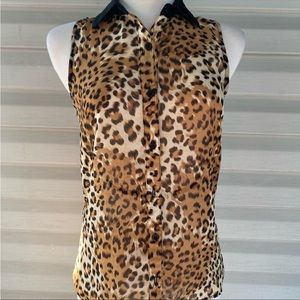 EUC SIX DEGREES Sheer animal print button blouse